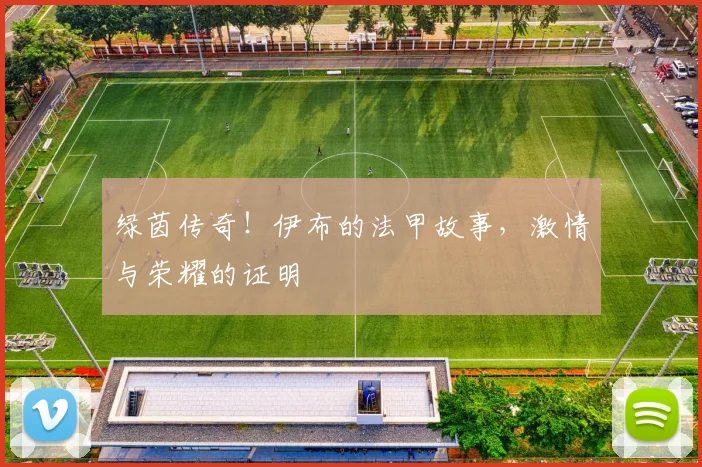 绿茵传奇！伊布的法甲故事，激情与荣耀的证明