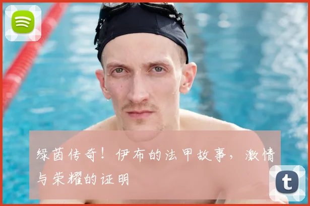 绿茵传奇！伊布的法甲故事，激情与荣耀的证明